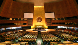 United Nations General Assembly