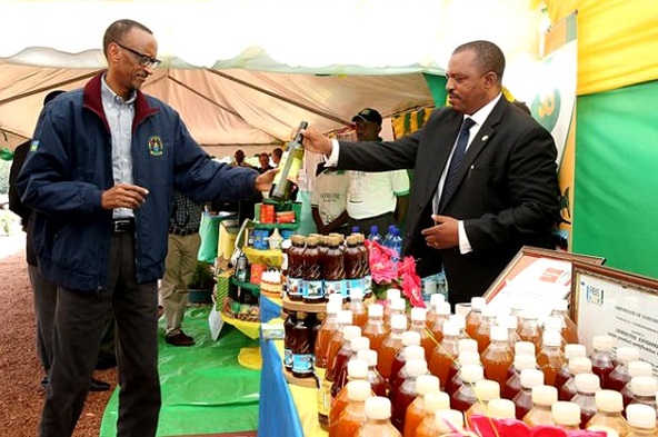 The need for economic diplomacy in Rwanda.