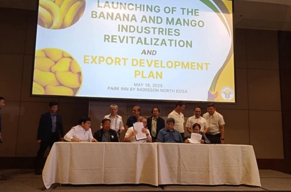 Launching of the Banana and Mango Industries Revitalization and Export Development Plan: Manila, Philippines.