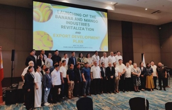 Launching of the Banana and Mango Industries Revitalization and Export Development Plan: Manila, Philippines.